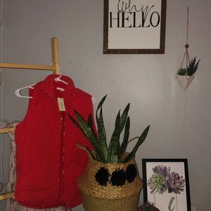 NWT Francesca’s orange/red vest!!!